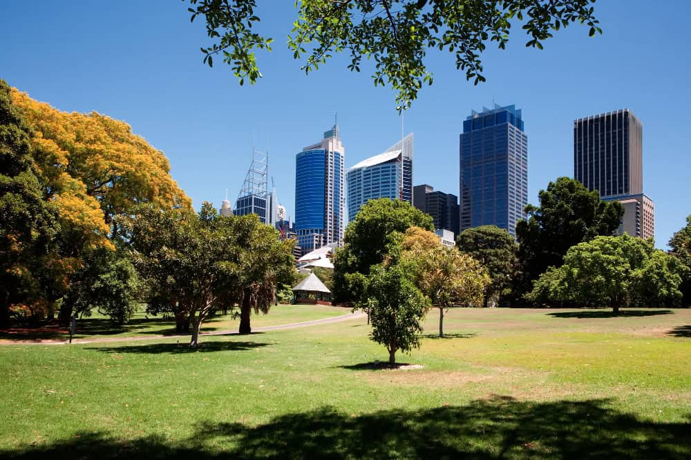 Detailed view of the diverse plant life at the Royal Botanic Gardens in Sydney, Australia